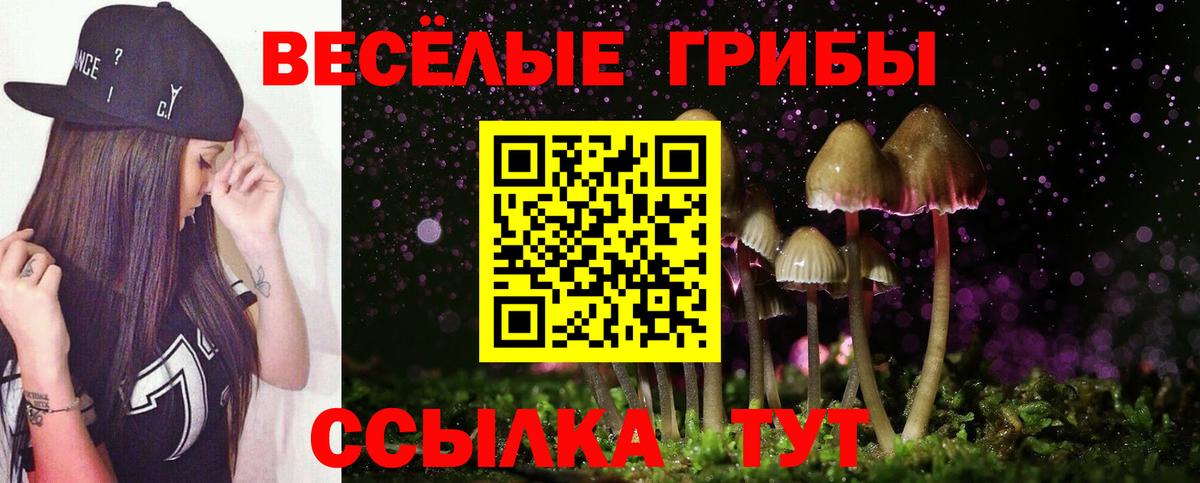 Вичуга  Псилоцибиновые грибы Psilocybine cubensis  Вход с VPN 
