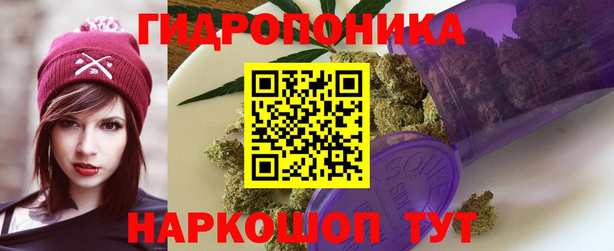 Конопля марихуана Вичуга